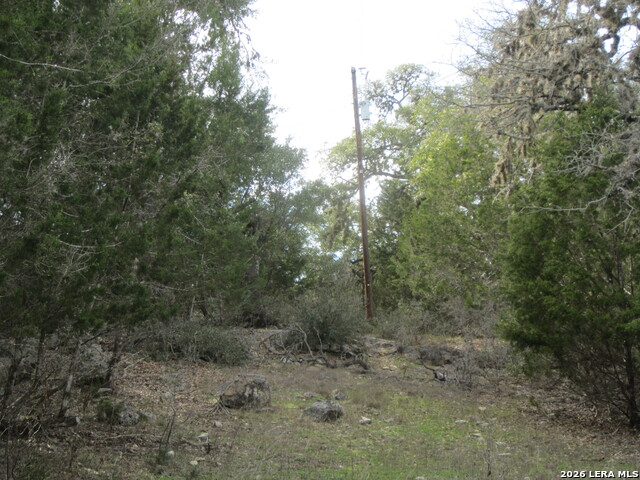 Tbd 50 Acres Wharton Dock Rd Property Photo 10