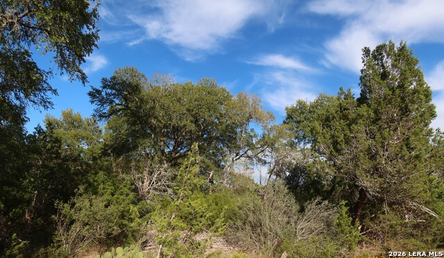 Tbd 50 Acres Wharton Dock Rd Property Photo 13