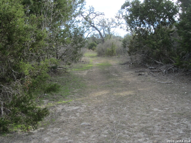 Tbd 50 Acres Wharton Dock Rd Property Photo 14