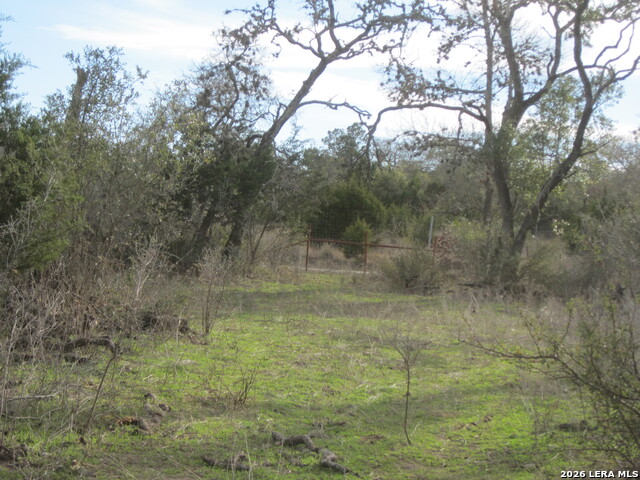 Tbd 50 Acres Wharton Dock Rd Property Photo 15