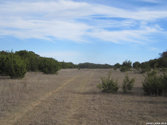 Tbd 50 Acres Wharton Dock Rd Property Photo 19