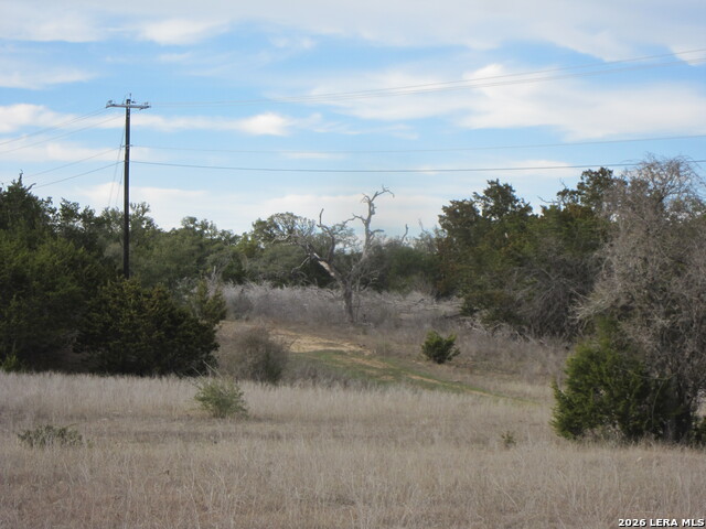 Tbd 50 Acres Wharton Dock Rd Property Photo 21