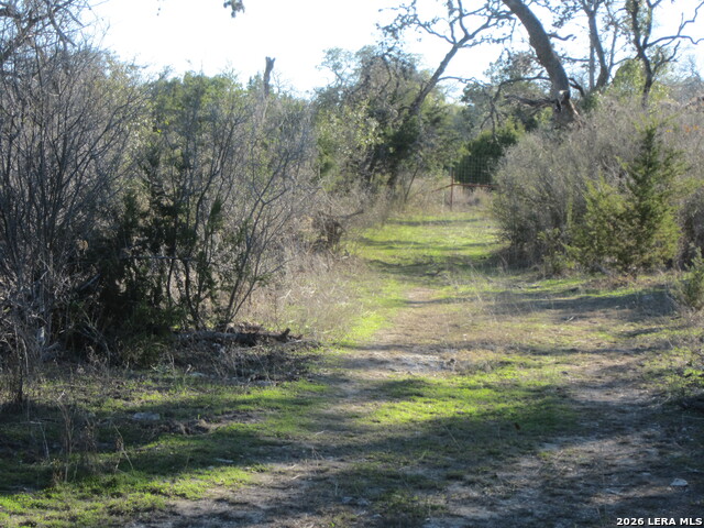 Tbd 50 Acres Wharton Dock Rd Property Photo 22