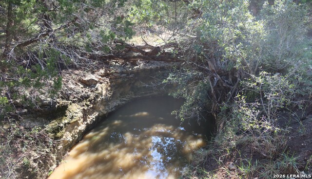 Tbd 50 Acres Wharton Dock Rd Property Photo 23