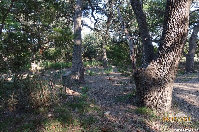 Tbd 50 Acres Wharton Dock Rd Property Photo 24