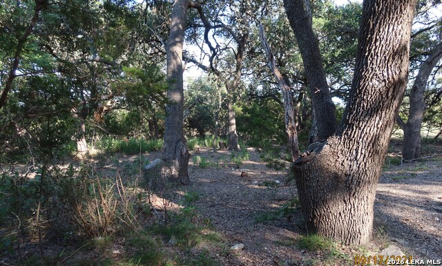Tbd 50 Acres Wharton Dock Rd Property Photo 26