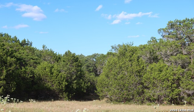 Tbd 50 Acres Wharton Dock Rd Property Photo 27
