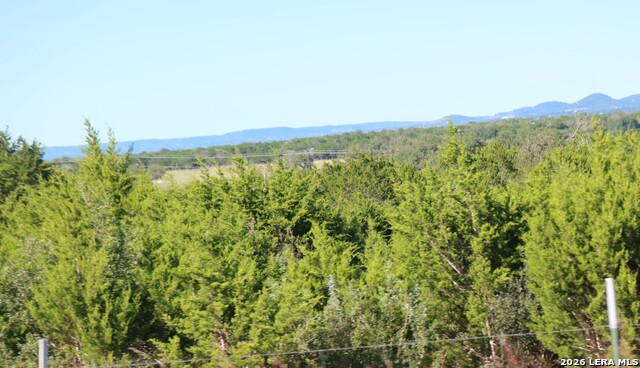 Tbd 50 Acres Wharton Dock Rd Property Photo 30