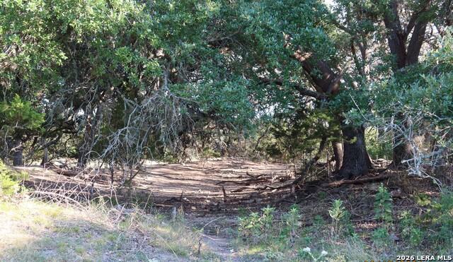 Tbd 50 Acres Wharton Dock Rd Property Photo 32