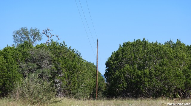 Tbd 50 Acres Wharton Dock Rd Property Photo 33