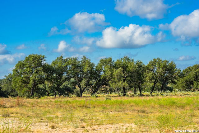 5541-a W Us Highway 290 Property Photo 10