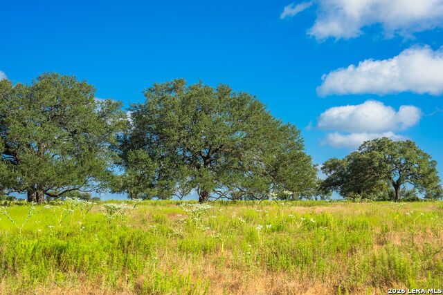 5541-a W Us Highway 290 Property Photo 11