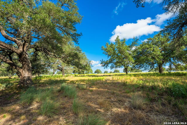 5541-a W Us Highway 290 Property Photo 13