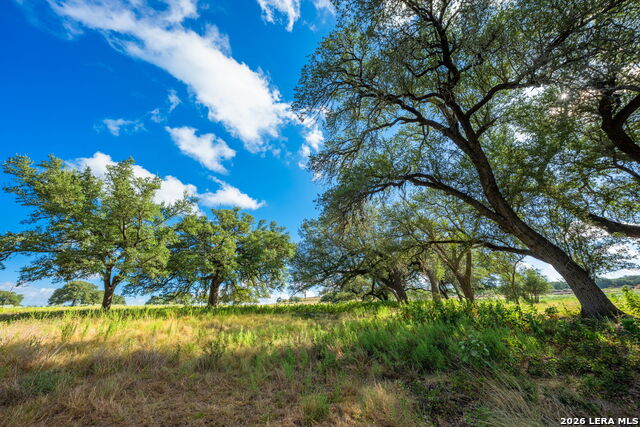 5541-a W Us Highway 290 Property Photo 16