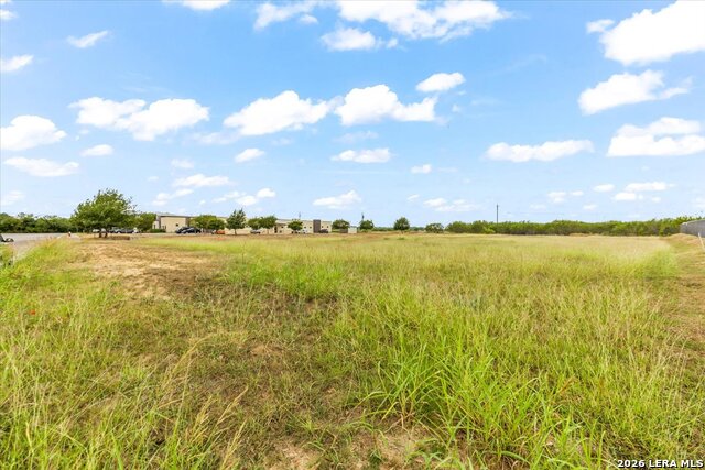 117 Windy Meadows Dr Property Photo 29