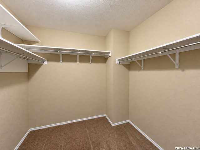 10802 Denae Drive Property Photo 34