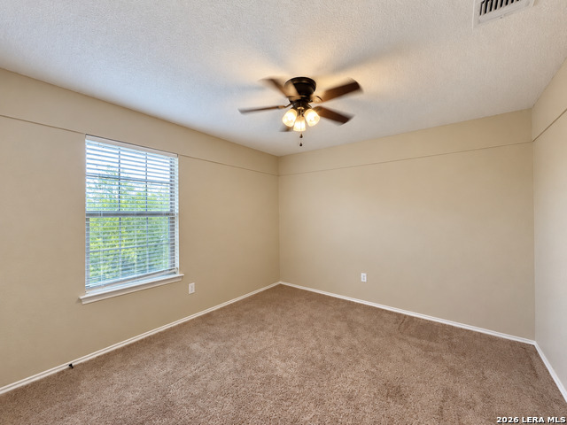 10802 Denae Drive Property Photo 42