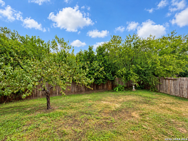 10802 Denae Drive Property Photo 47