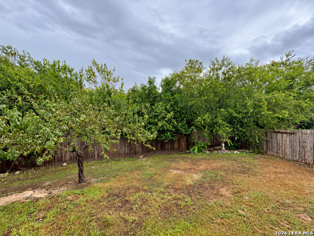 10802 Denae Drive Property Photo 48