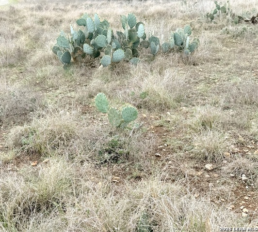 Lot 22 Stone Crest Property Photo 8