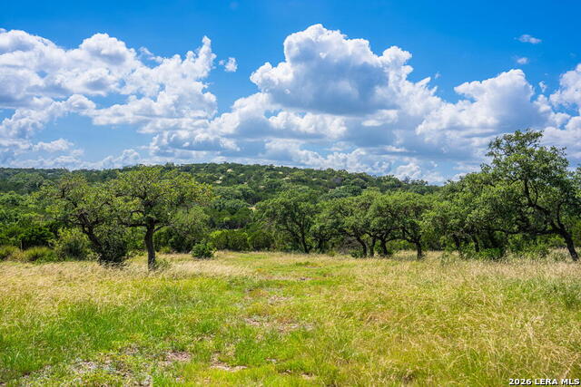 11797 Hackberry Rd Property Photo 4