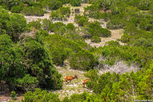11797 Hackberry Rd Property Photo 30