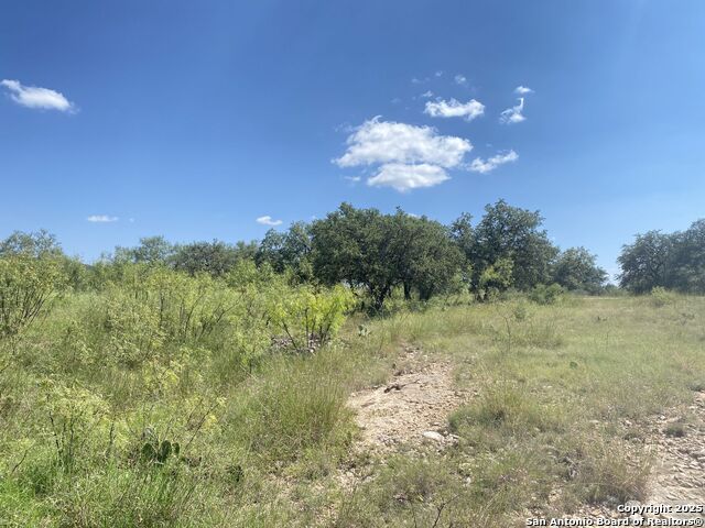 000 Mockingbird Lane Property Photo 11
