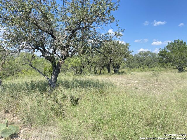 000 Mockingbird Lane Property Photo 14