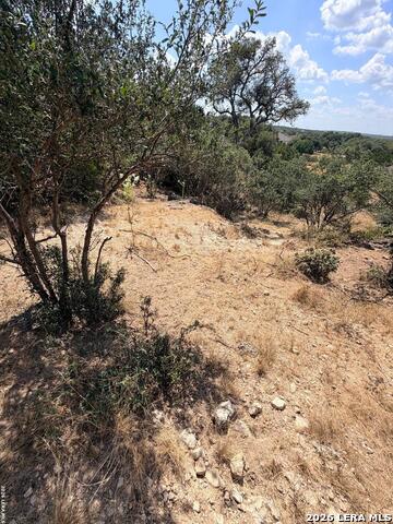 463 Lantana Mesa Property Photo 1