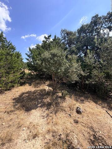 463 Lantana Mesa Property Photo 2