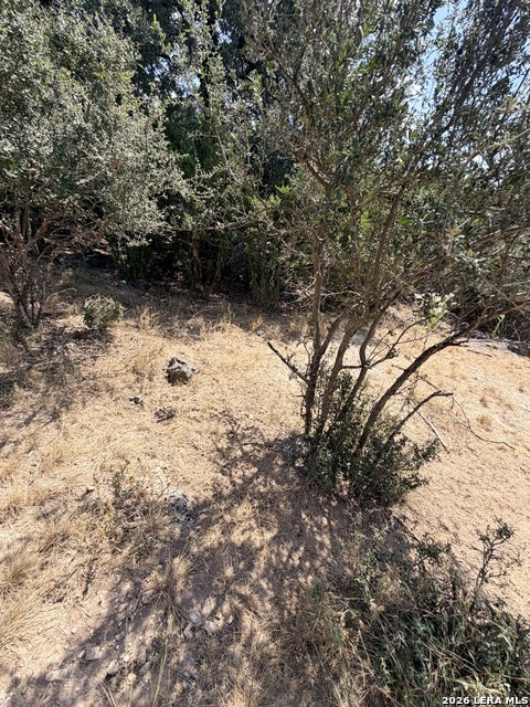 463 Lantana Mesa Property Photo 4