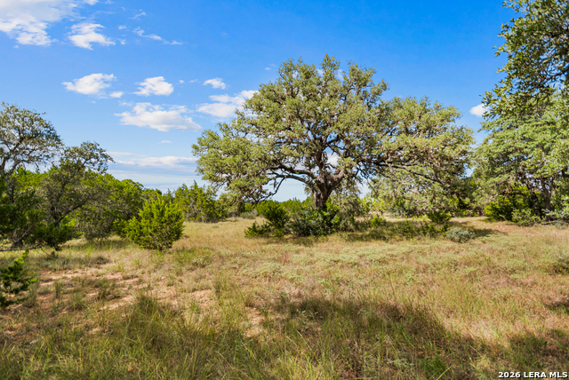 Lot 17 La Vista Del Rio Property Photo 3
