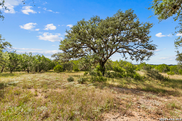 Lot 17 La Vista Del Rio Property Photo 5