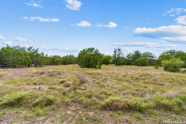 Lot 17 La Vista Del Rio Property Photo 6