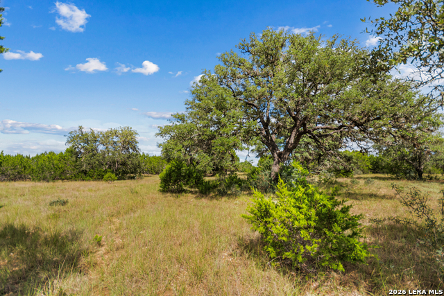 Lot 17 La Vista Del Rio Property Photo 8