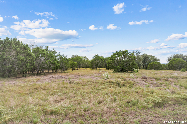 Lot 17 La Vista Del Rio Property Photo 9
