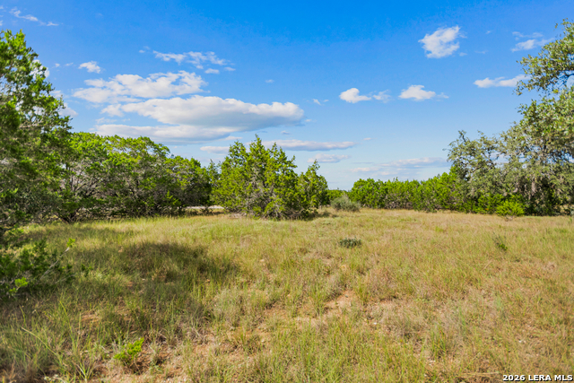 Lot 17 La Vista Del Rio Property Photo 11