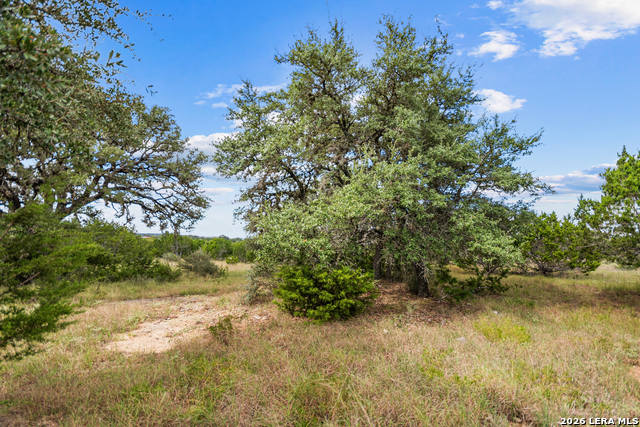 Lot 17 La Vista Del Rio Property Photo 12
