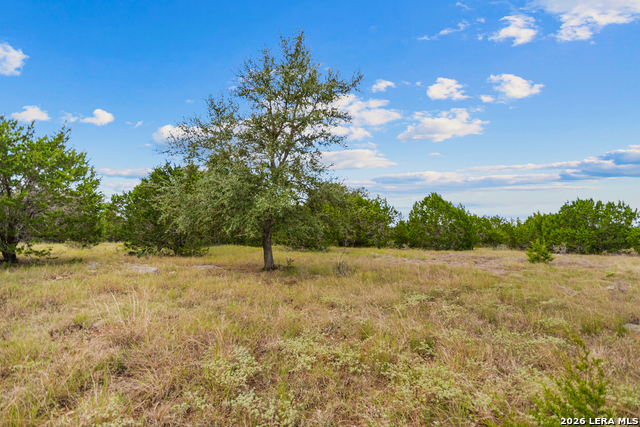 Lot 17 La Vista Del Rio Property Photo 14