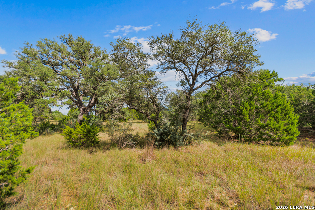 Lot 17 La Vista Del Rio Property Photo 16