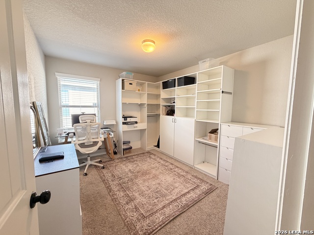 5230 Blue Ivy Property Photo 12