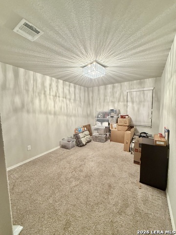 5230 Blue Ivy Property Photo 15