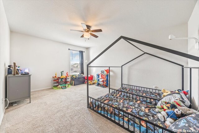 29525 Spring Copper Property Photo 28