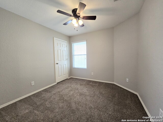 12206 Mountain Pine Property Photo 8