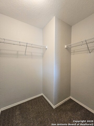 12206 Mountain Pine Property Photo 9
