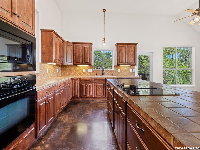 423 Elmwood Property Photo 16