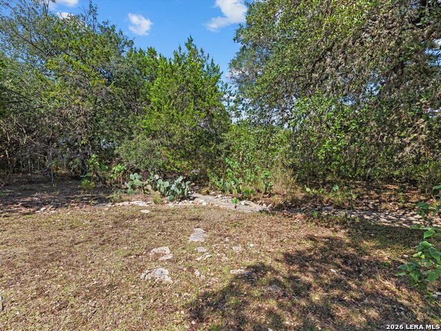 423 Elmwood Property Photo 43