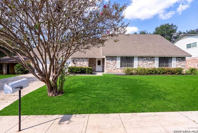 1117 White Pine St Property Photo 3