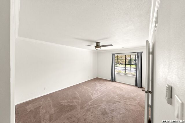1117 White Pine St Property Photo 20