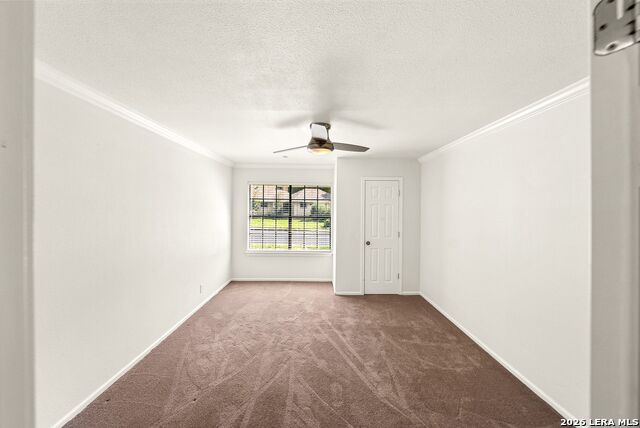 1117 White Pine St Property Photo 26